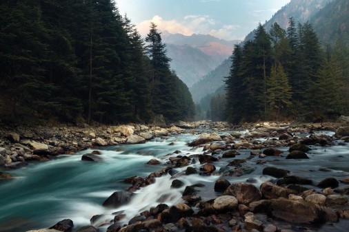 Photography by : Wellington