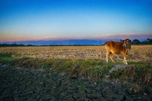 Photography by : Ranjan Sharma