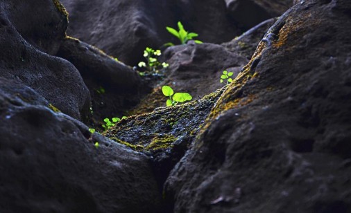 Photography by : Vishal Bhagat