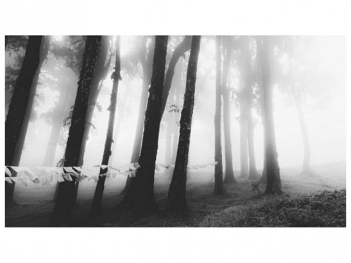 Photography by : Soumen Mandal