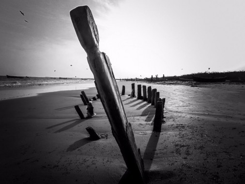 Photography by : Ashok Kumar